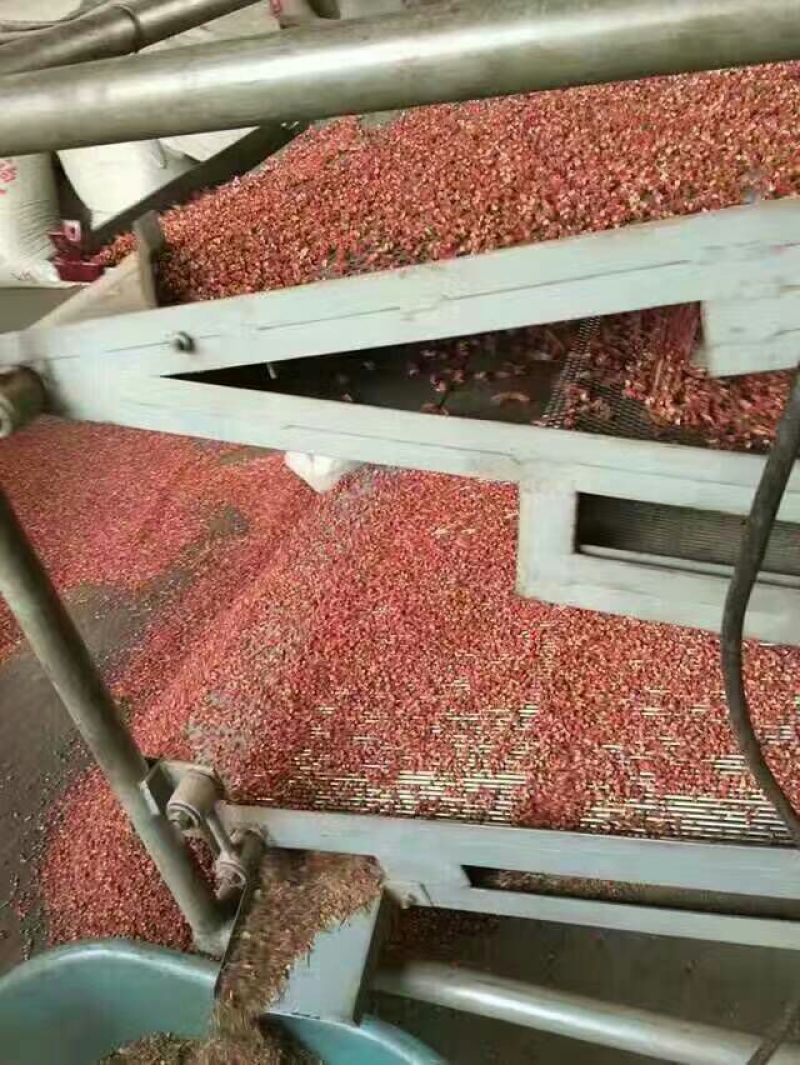 大红袍花椒一级干