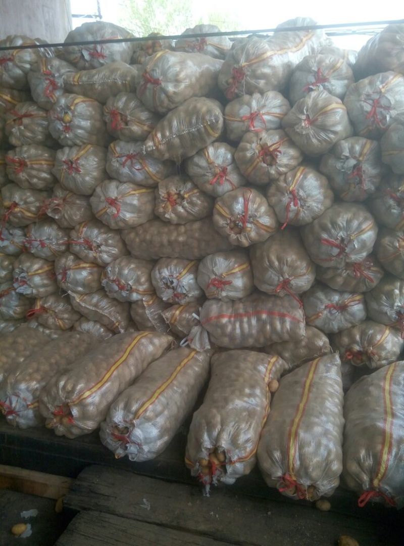 荷兰十五土豆1~2两