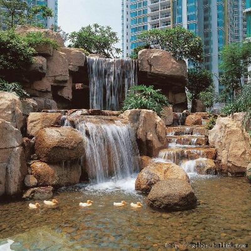 锦鲤鱼苗1~2公斤