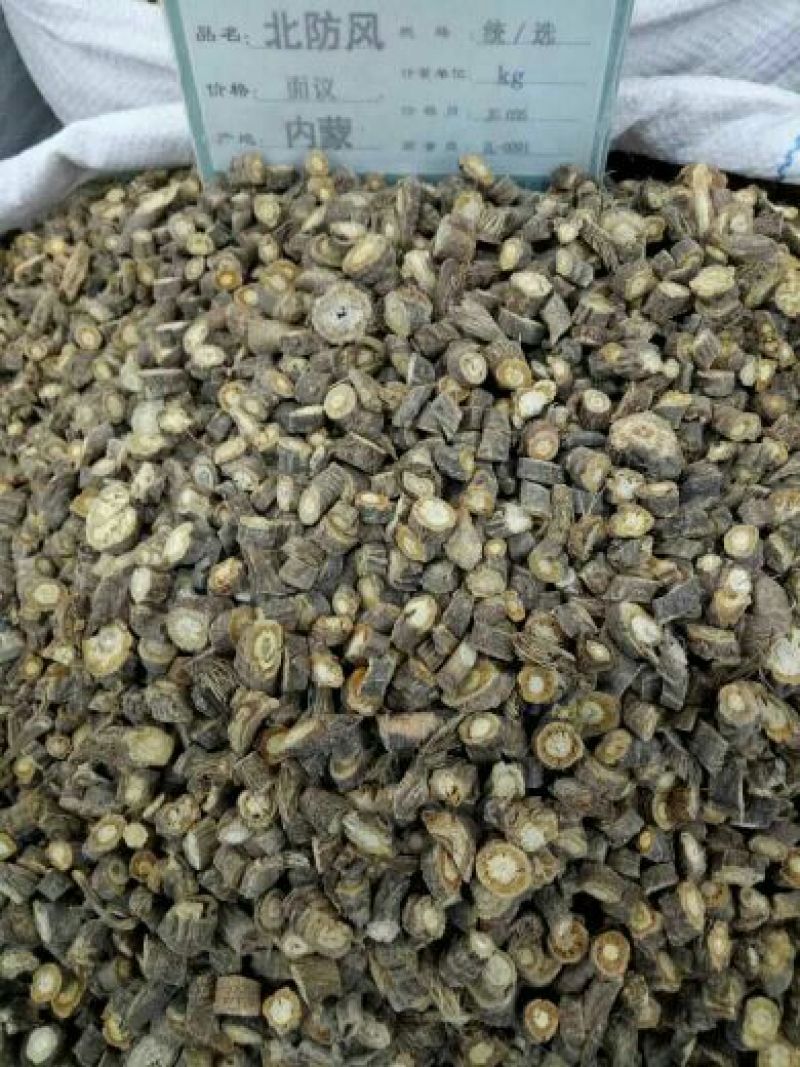 防风北防风野生防风内蒙1公斤起批无硫***包邮