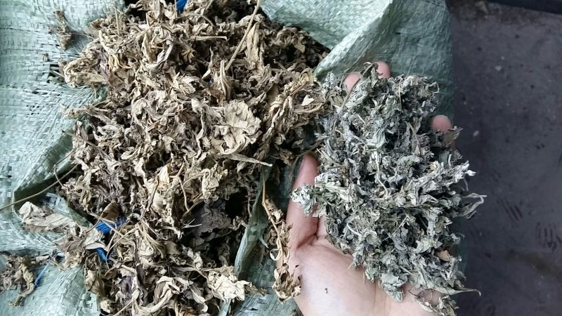 陈艾统片