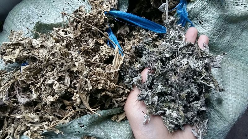 陈艾统片