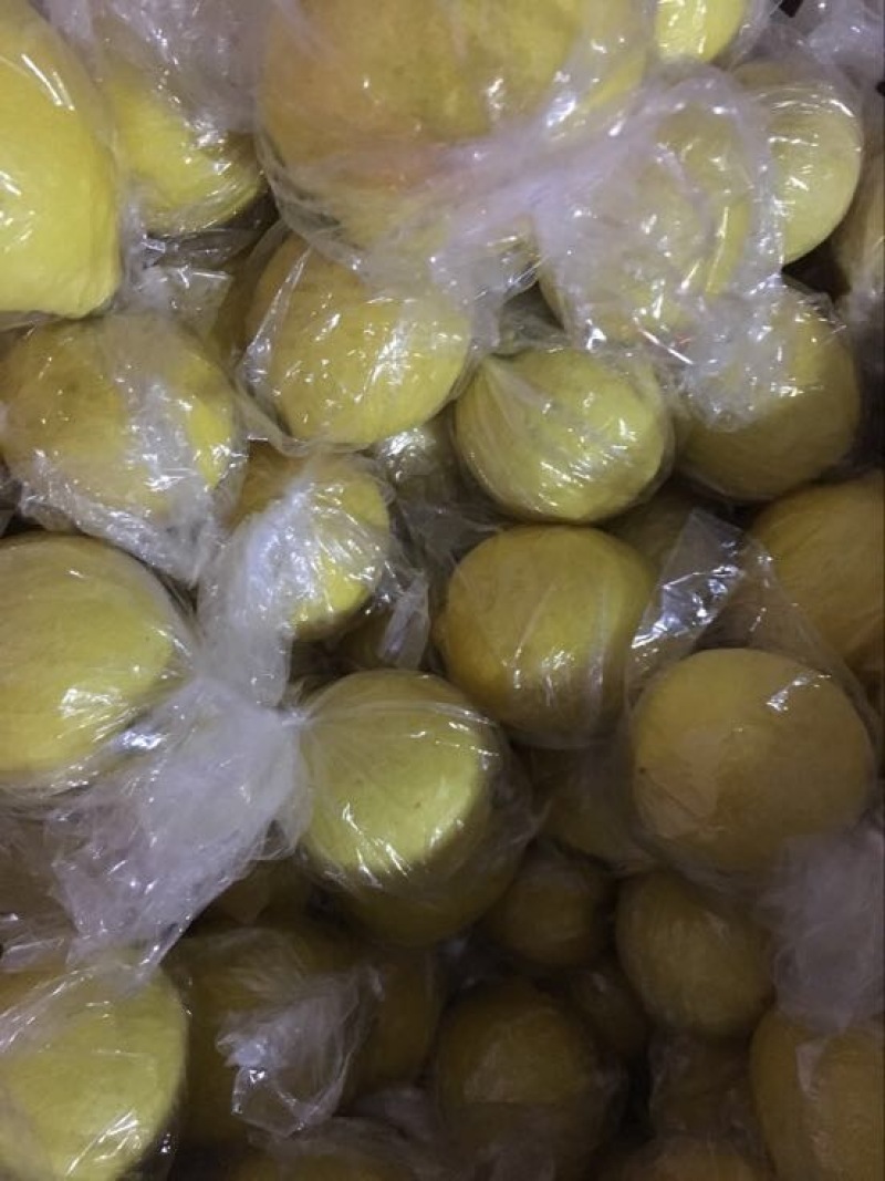 尤力克柠檬1~1.5两