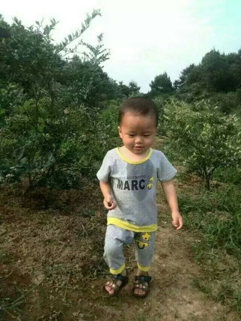 蓝莓鲜果6~8mm以上