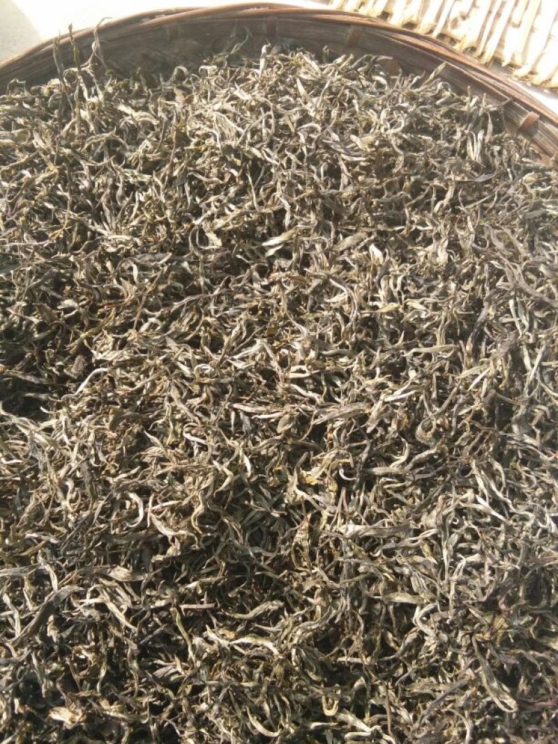 老树茶一级