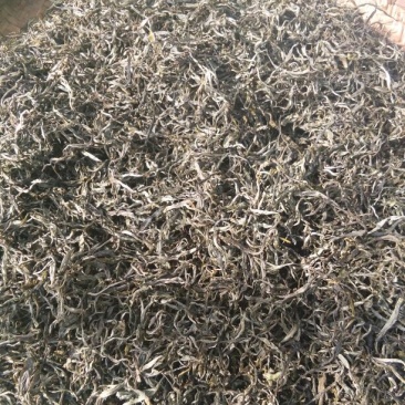 老树茶一级