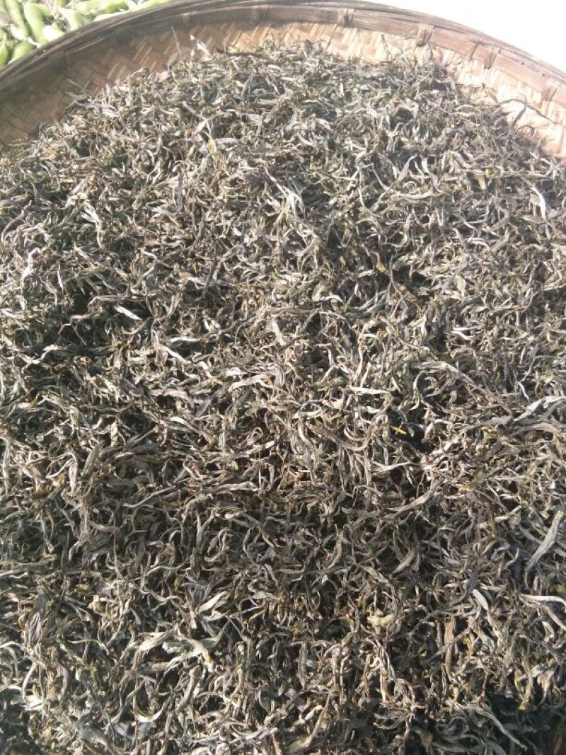 老树茶一级