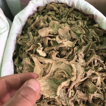 姜片