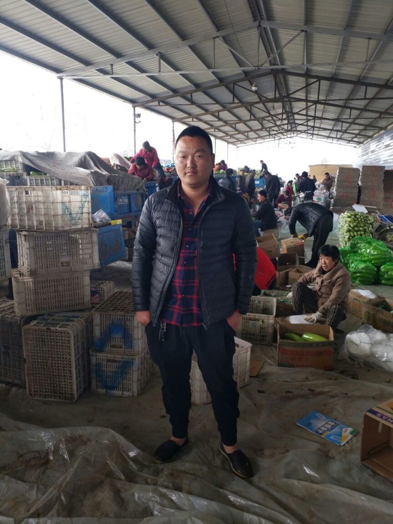紫光圆茄山东圆茄蔬菜产区超市配车团购集采代收代发