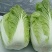 诚信代收，山东聊城，刘宪争，菊锦白菜毛菜7斤以上