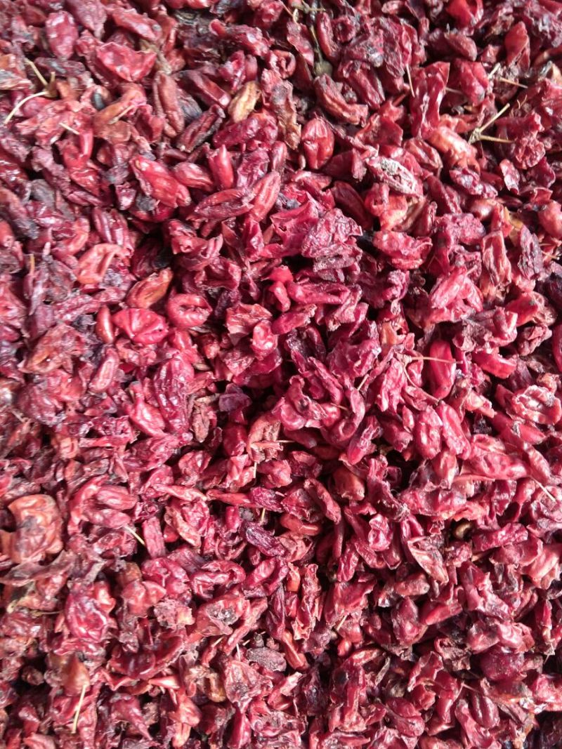 山萸肉山茱萸选货无硫***选货量大从优欢迎选购
