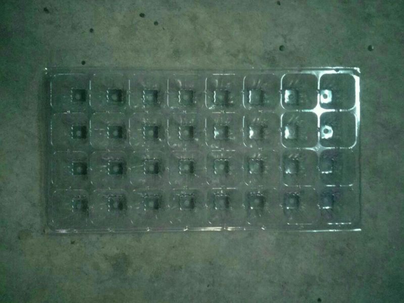 穴盘50孔