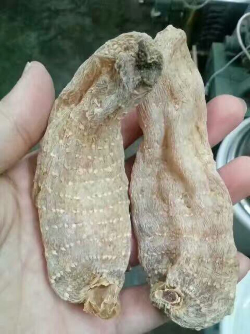 天麻一级，全干，无硫，二级，三级，四级，