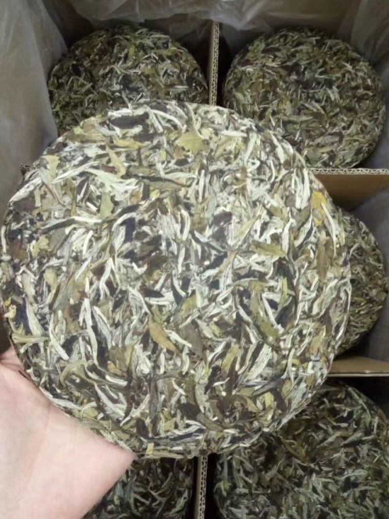 福鼎白茶特级