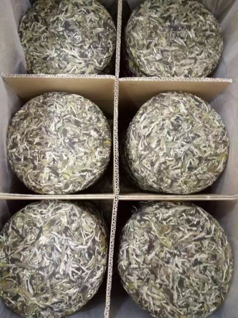 福鼎白茶特级