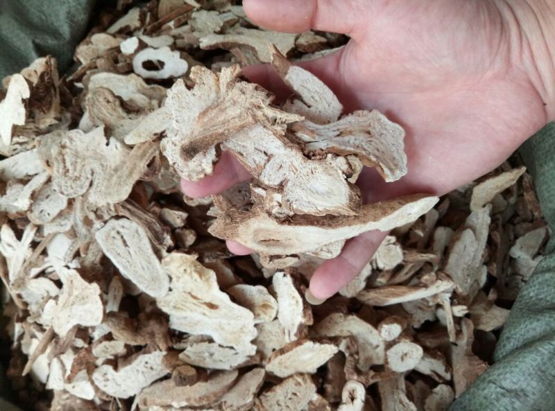 白术片一等干货10~15克