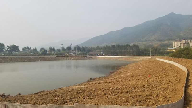 鲶鱼食用