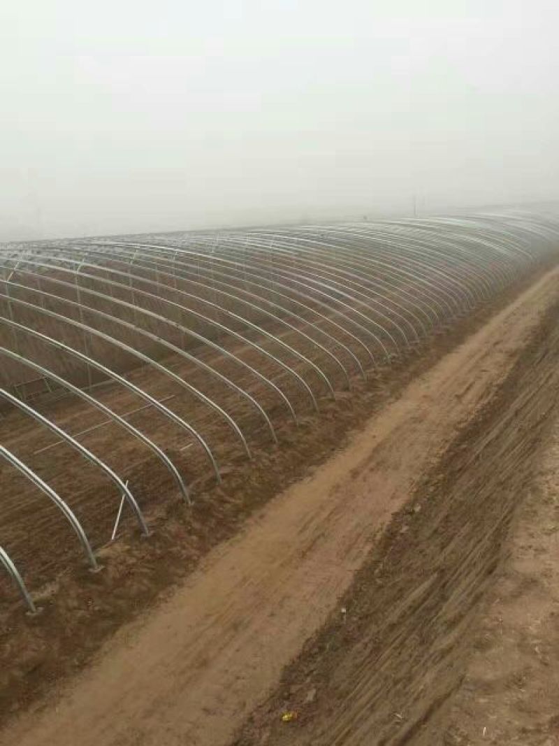 钢架大棚黑色