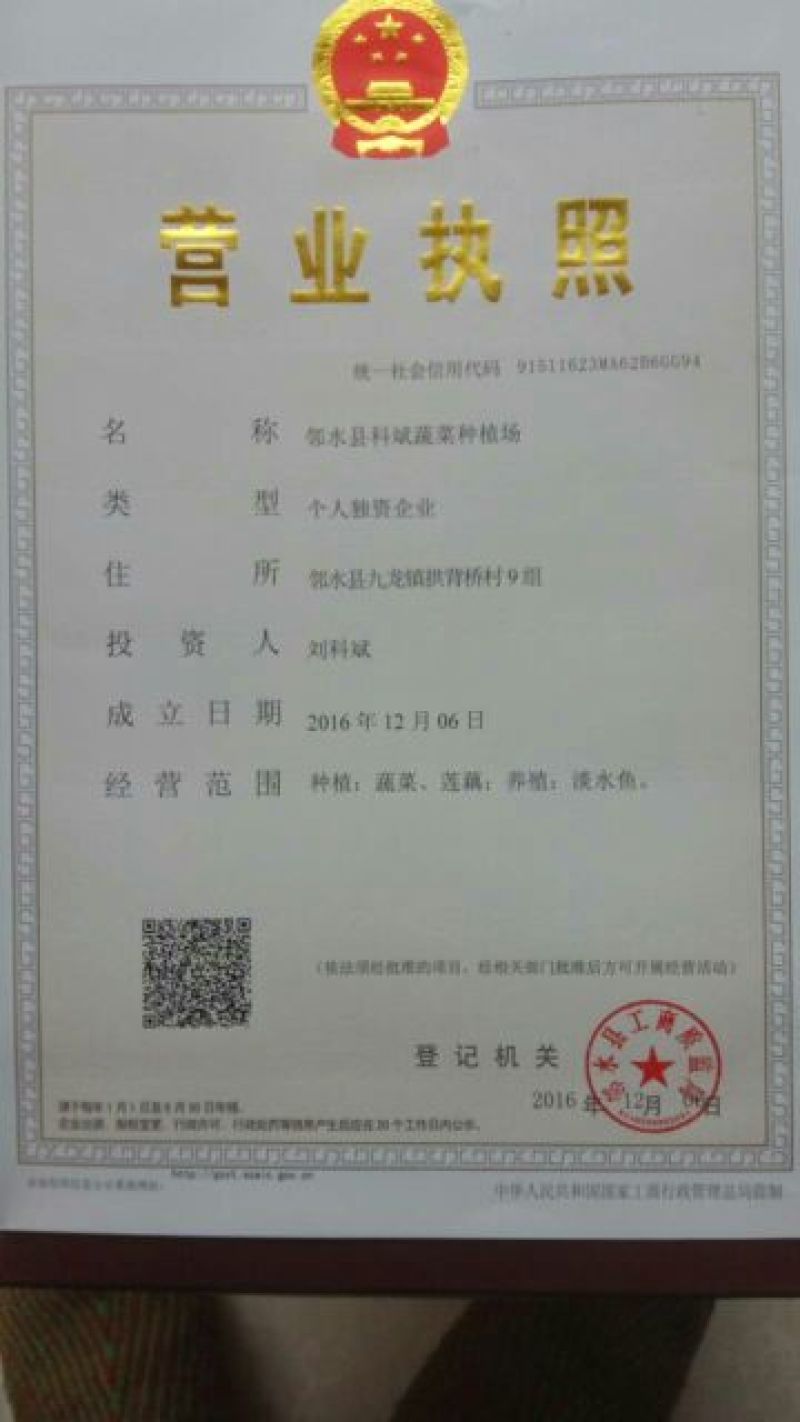 藕粉