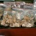 高山天麻丽江野生红嘴天麻