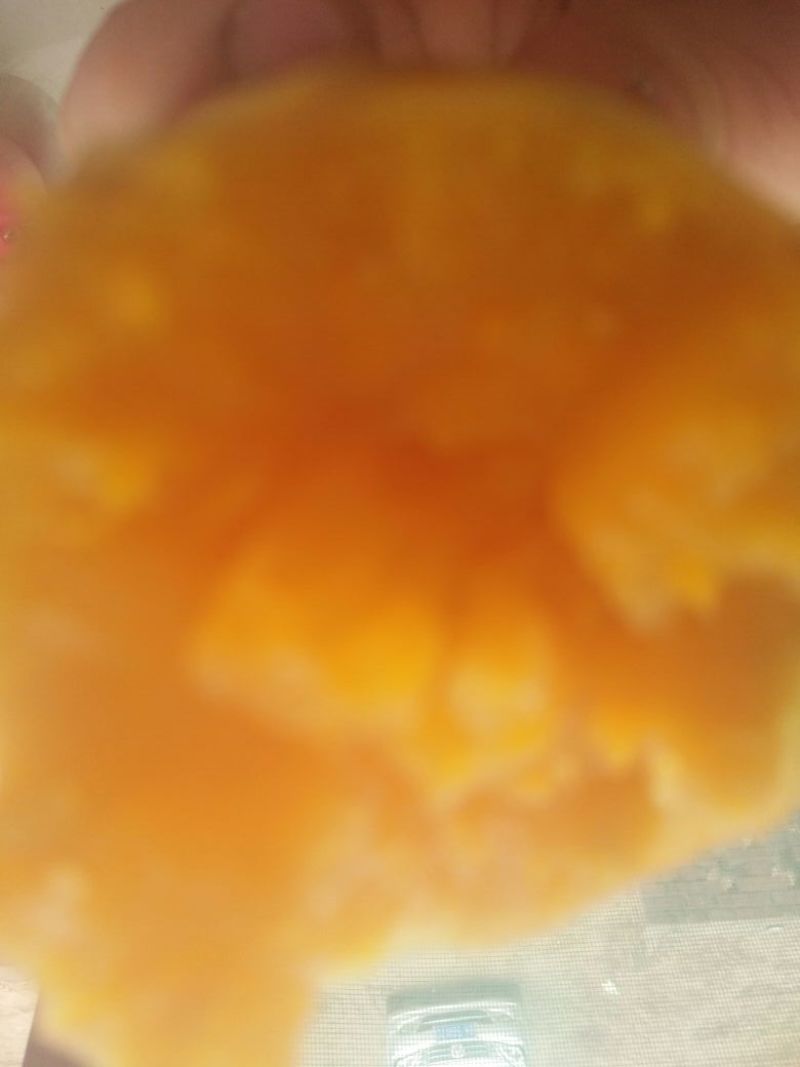 龙薯9号4两以上红心
