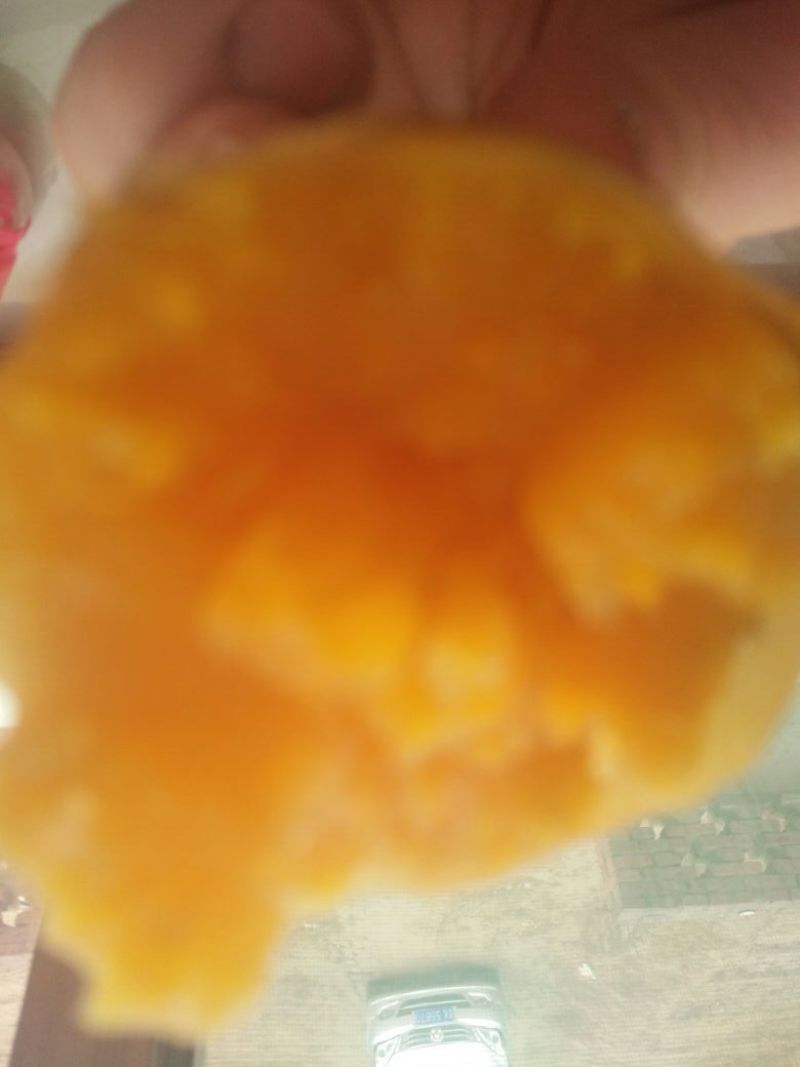 龙薯9号4两以上红心