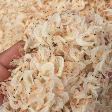 虾皮特级