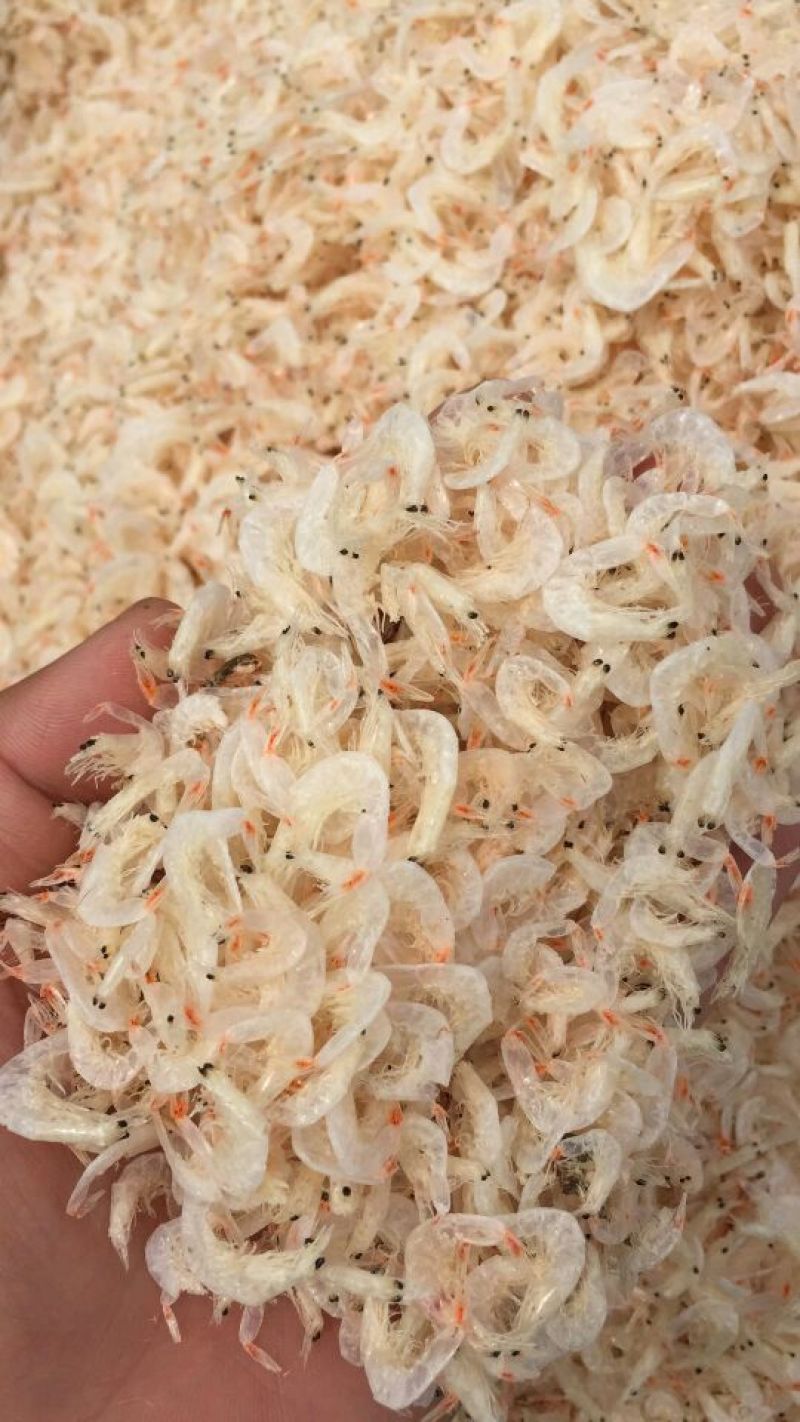 虾皮特级