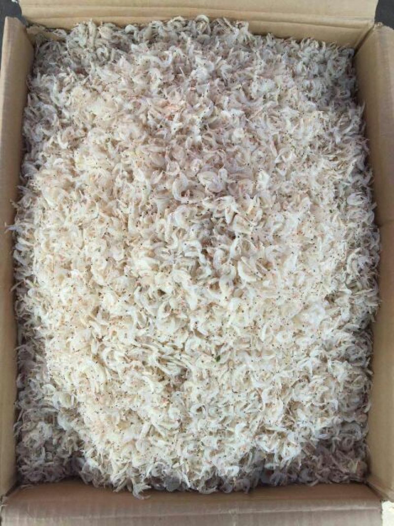 虾皮特级