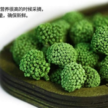 文山三七花干货鲜无柄250克一斤包邮