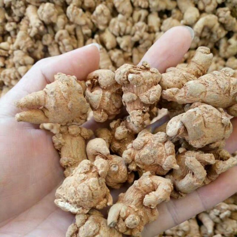 三七80头统货
