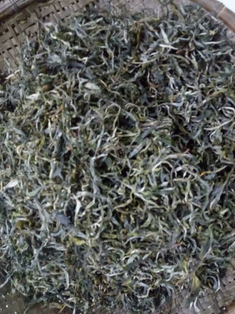百年大树茶末茶