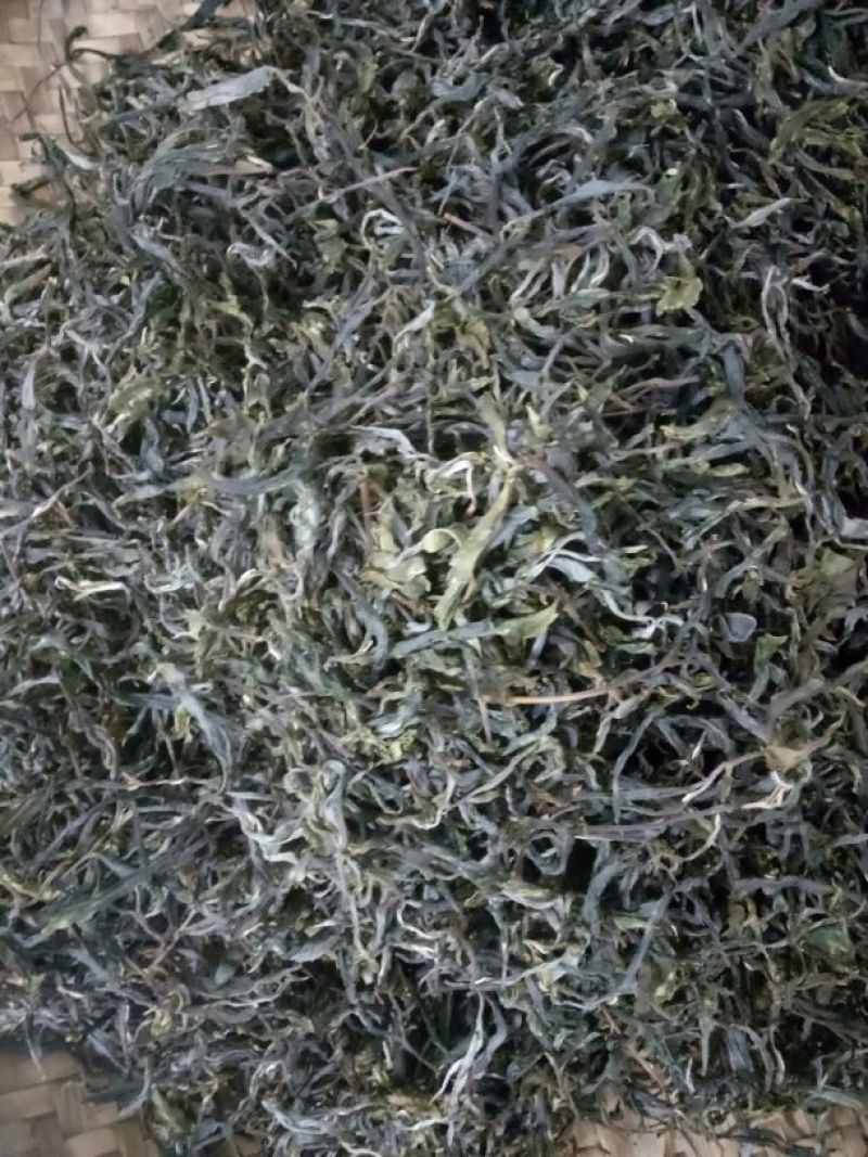 百年大树茶末茶
