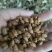 苍耳子东北干货硬刺含量高量大从优