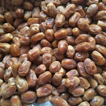 新疆红枣一级干枣