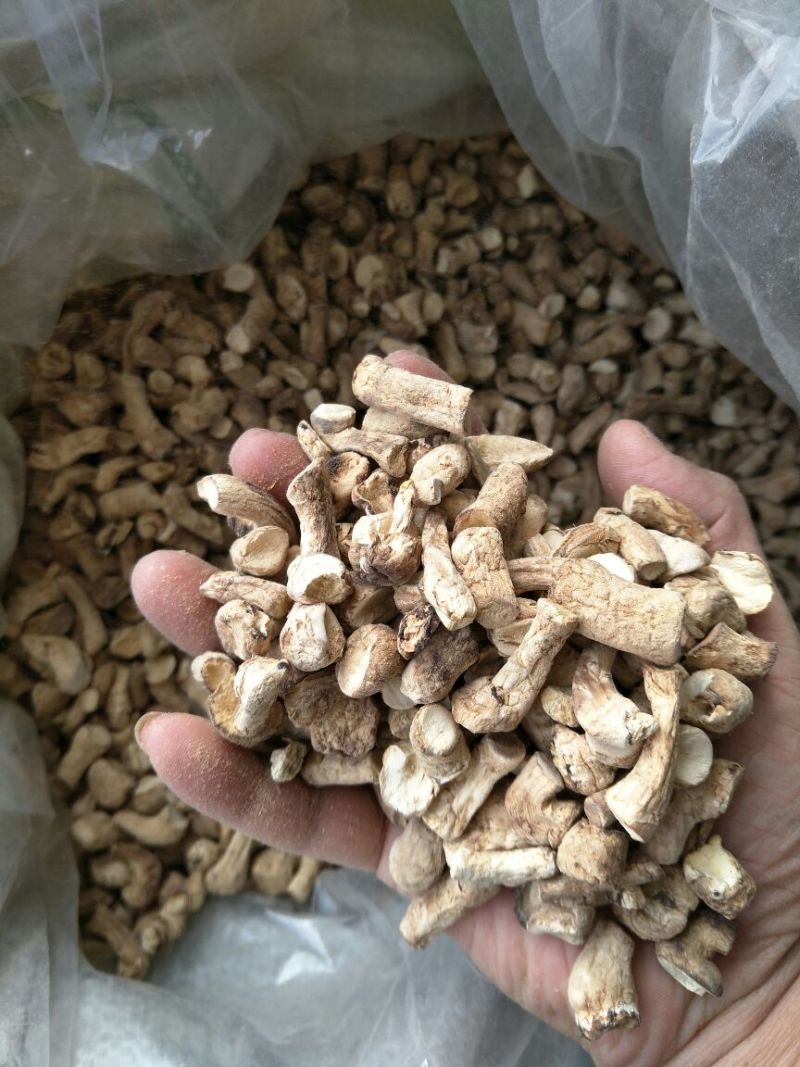随州香菇产地直供出口级双剪干香菇脚已过筛长1.2-2cm