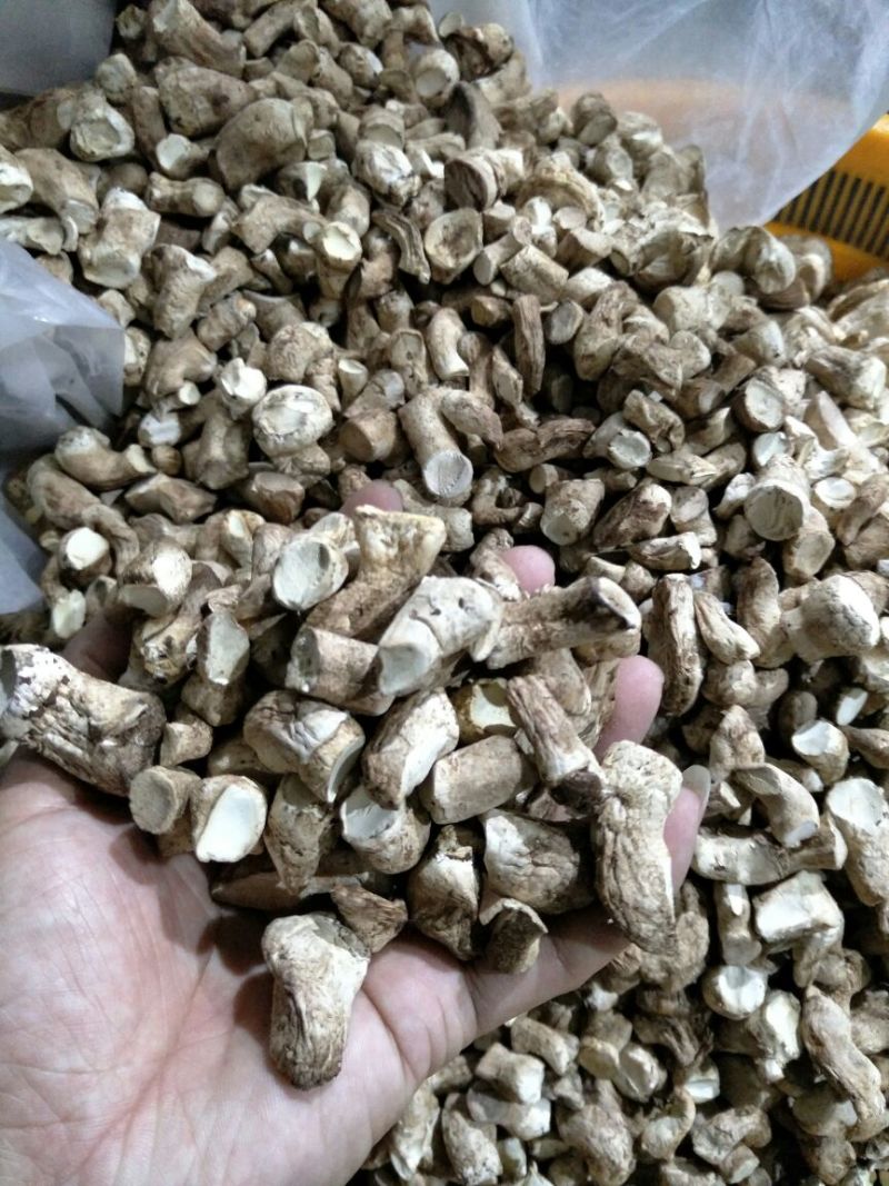 随州香菇产地直供出口级双剪干香菇脚已过筛长1.2-2cm