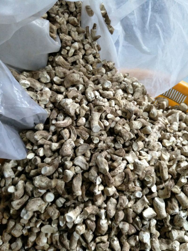 随州香菇产地直供出口级双剪干香菇脚已过筛长1.2-2cm