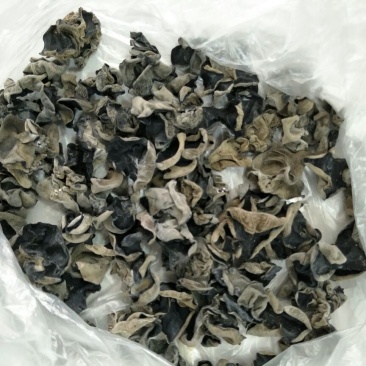 神农架秋黑木耳一级单片厚中耳1.5左右