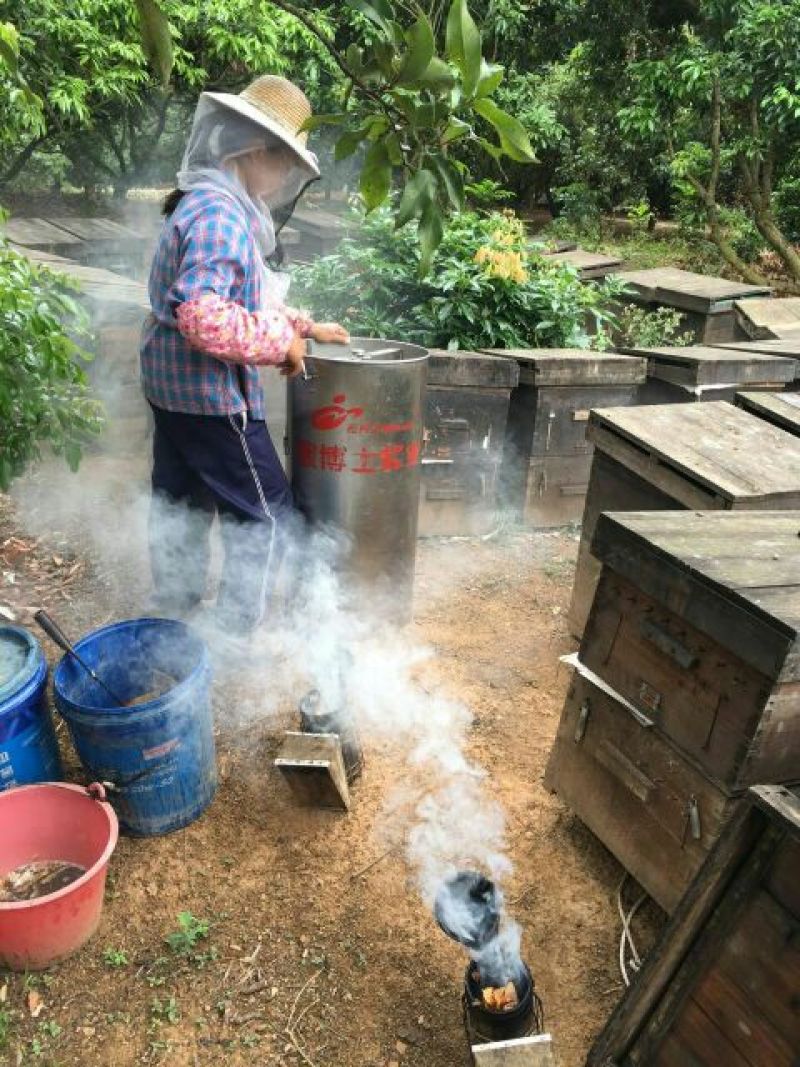 荔枝蜜10斤