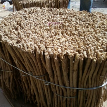 黄芪0.5~2.5cm