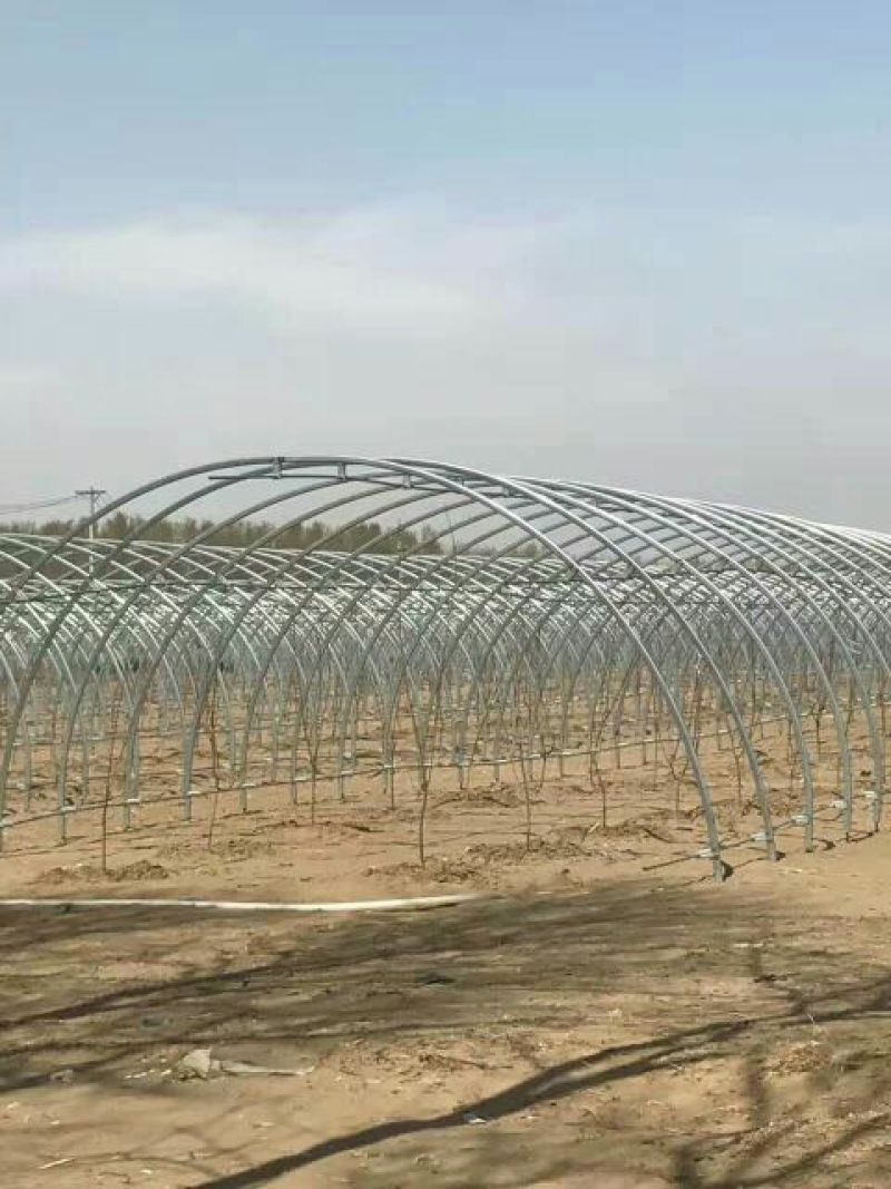 温室大棚管联动热镀锌圆管热椭圆钢管厂家直销