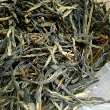 古树茶四级