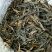 古树茶四级