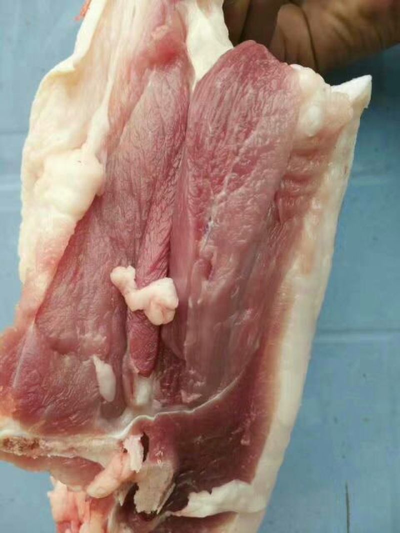 肥膘食用整猪加工