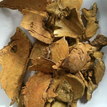 虎杖江西1公斤起批无硫无添加不包邮只做正品