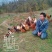 野生放养水果虫草土鸡