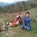 野生放养水果虫草土鸡