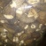 干羊肚菌特级