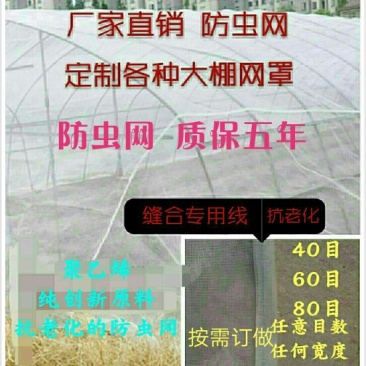 防虫网40目